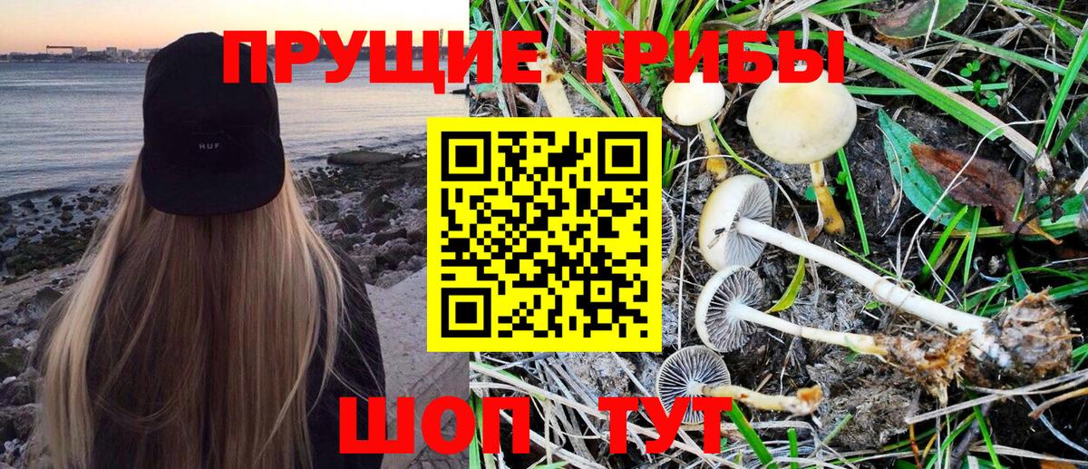 Галлюциногенные грибы Magic Shrooms  Вход с VPN  Бутурлиновка 